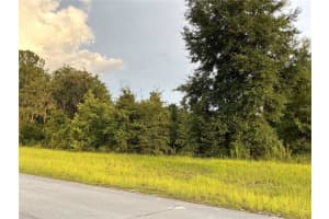 SW 138TH LN, OCALA, FL 34473 Sold 10/24/24
