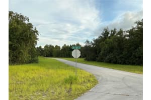 SW 138TH LN, OCALA, FL 34473 Sold 10/24/24