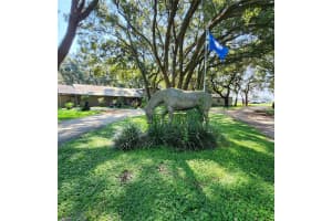 21050 42ND STREET, MORRISTON, FL 32668 Sold 05/16/25