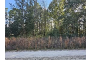 15100 28TH LANE, OCALA, FL 34481 Sold 08/01/25