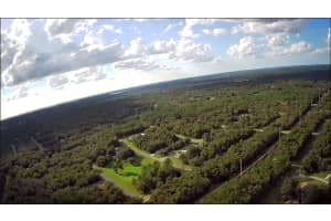 1407 STARBRIGHT PLACE, DUNNELLON, FL 34434 Sold 11/08/24