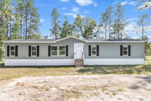 13690 10TH STREET, WILLISTON, FL 32696 Sold 03/21/25