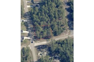 1951 ADELIA PLACE, CITRUS SPRINGS, FL 34434 - MLS#MFROM686603