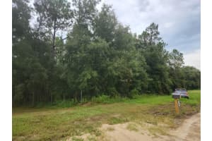 SW 64TH ST RD, OCALA, FL 34481 - MLS#MFROM686690