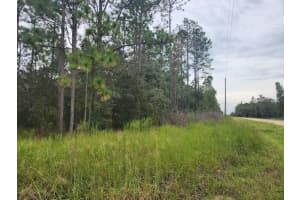 SW 125TH CT RD, OCALA, FL 34481 - MLS#MFROM686711