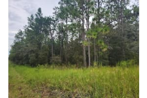 SW 125TH CT RD, OCALA, FL 34481 - MLS#MFROM686711