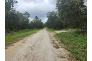 SW 125TH TER, DUNNELLON, FL 34432 - MLS#MFROM686712