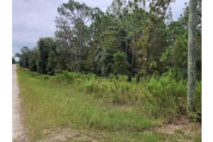 SW 89TH ST, DUNNELLON, FL 34432 - MLS#MFROM686713