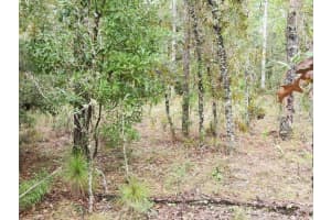 SW 89TH ST, DUNNELLON, FL 34432 - MLS#MFROM686713