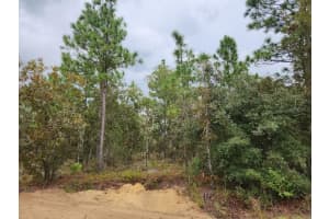 SW 87TH ST, DUNNELLON, FL 34432 - MLS#MFROM686715