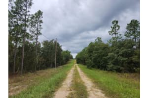 SW 87TH ST, DUNNELLON, FL 34432 - MLS#MFROM686715
