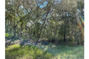 15414 MYLAND ROAD, BROOKSVILLE, FL 34614 Sold 11/19/24