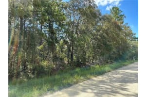 15414 MYLAND ROAD, BROOKSVILLE, FL 34614 Sold 11/19/24