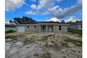 238 LOCUST PASS LOOP, OCALA, FL 34472 Sold 03/26/25
