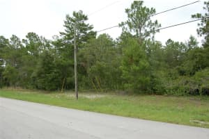 0 133 LANE RD LANE, OCALA, FL 34473 Sold 10/25/24