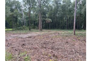 16340 SW 55TH, OCALA, FL 34481 - MLS#MFROM686854