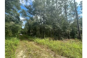 0 153RD AVENUE, OCALA, FL 34481 Sold 01/03/25