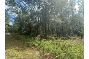 0 153RD AVENUE, OCALA, FL 34481 Sold 01/03/25
