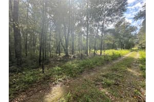 0 153RD AVENUE, OCALA, FL 34481 Sold 01/03/25