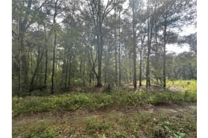 0 153RD AVENUE, OCALA, FL 34481 Sold 01/03/25