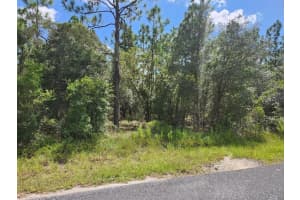 SW MANGO LN, DUNNELLON, FL 34432 Sold 08/01/25
