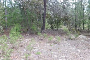 9657 TIMBER CREEK TERRACE, DUNNELLON, FL 34433 Sold 07/10/25