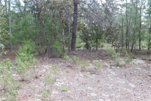9657 TIMBER CREEK TERRACE, DUNNELLON, FL 34433 Sold 07/10/25