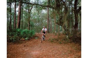 16041 SCAUP DUCK AVENUE, WEEKI WACHEE, FL 34614 Sold 05/24/25