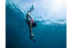 16041 SCAUP DUCK AVENUE, WEEKI WACHEE, FL 34614 Sold 05/24/25