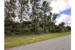 0 131ST PLACE ROAD, OCALA, FL 34473 Sold 12/31/24