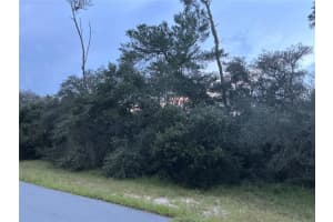 SW 178TH LANE RD, OCALA, FL 34473 Sold 01/15/25