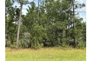 SW 131ST LOOP, OCALA, FL 34473 Sold 12/31/24