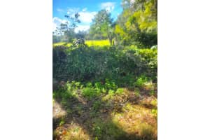 TBA 43RD PL, NEWBERRY, FL 32669 Sold 09/24/25