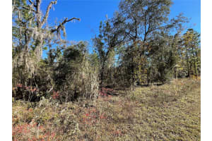 Lot 37 126TH TERRACE, DUNNELLON, FL 34431 - MLS#MFROM687225