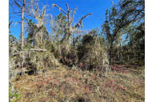 Lot 37 126TH TERRACE, DUNNELLON, FL 34431 - MLS#MFROM687225