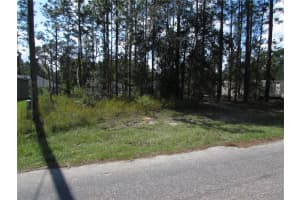 9250 TRAVIS DRIVE, CITRUS SPRINGS, FL 34434 - MLS#MFROM687264