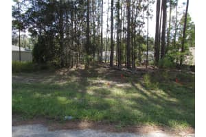 9250 TRAVIS DRIVE, CITRUS SPRINGS, FL 34434 - MLS#MFROM687264