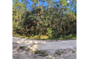TBD 138TH TERRACE, OCALA, FL 34481 Sold 11/07/24