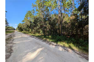 TBD 138TH TERRACE, OCALA, FL 34481 Sold 11/07/24