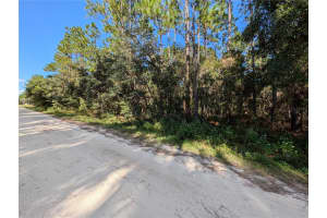 TBD 138TH TERRACE, OCALA, FL 34481 Sold 11/07/24