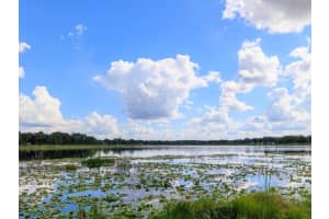 907 HICKORY ROAD, OCALA, FL 34472 Sold 02/25/25