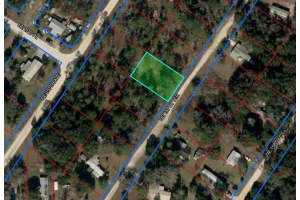 150 157TH TERRACE, WILLISTON, FL 32696 Sold 12/09/24