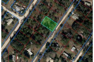 150 157TH TERRACE, WILLISTON, FL 32696 Sold 12/09/24