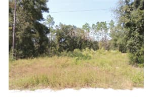 150 157TH TERRACE, WILLISTON, FL 32696 Sold 12/09/24