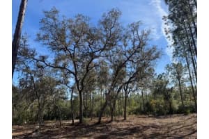 NE 150TH AVE RD, FORT MC COY, FL 32134 - MLS#MFROM687596