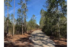 NE 150TH AVE RD, FORT MC COY, FL 32134 - MLS#MFROM687596
