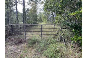 1260 120TH AVENUE, OCALA, FL 34482 Sold 02/04/25