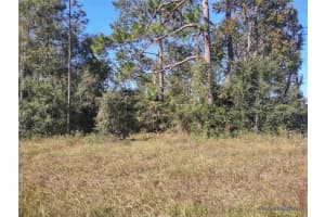 TBD 140 AVENUE, WILLISTON, FL 32696 Sold 12/04/24