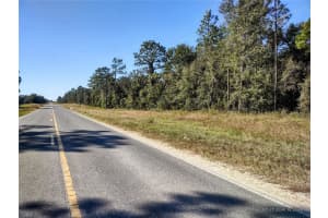 TBD 140 AVENUE, WILLISTON, FL 32696 Sold 12/04/24