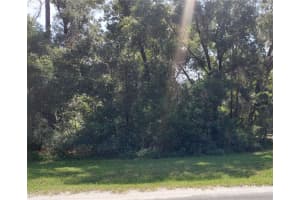 00 SAINT GEORGE DRIVE, DUNNELLON, FL 34432 Sold 12/30/24